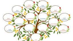 Year 200 Celebration in 2025 -  Advanced Ancestry.ca: Digging Deeper into Irish Genealogy Wednesday August 6, 2025 14:00 - 16:00  