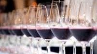 Winter Warming Wine Tasting