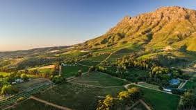 Thelema Wines Presented by Thomas Webb and Mer et Soleil