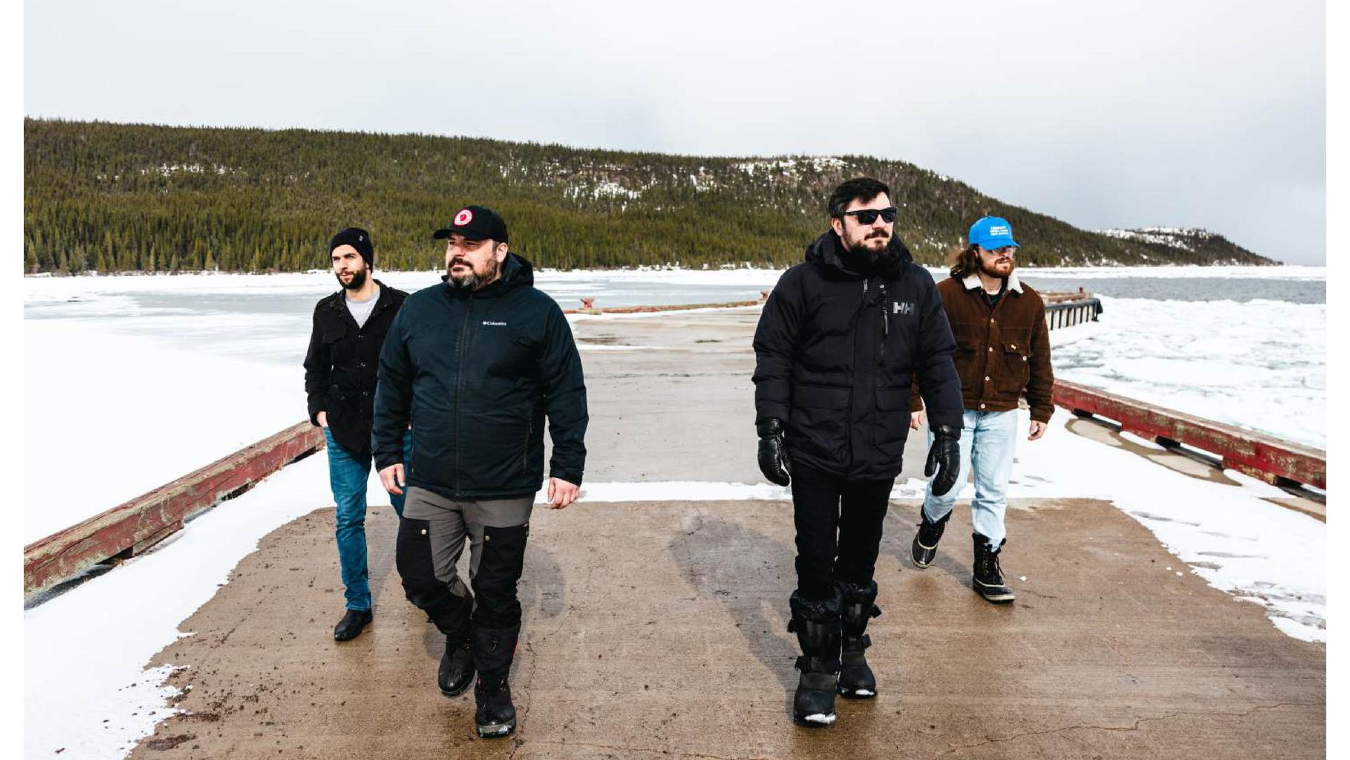 Silver Wolf Band
