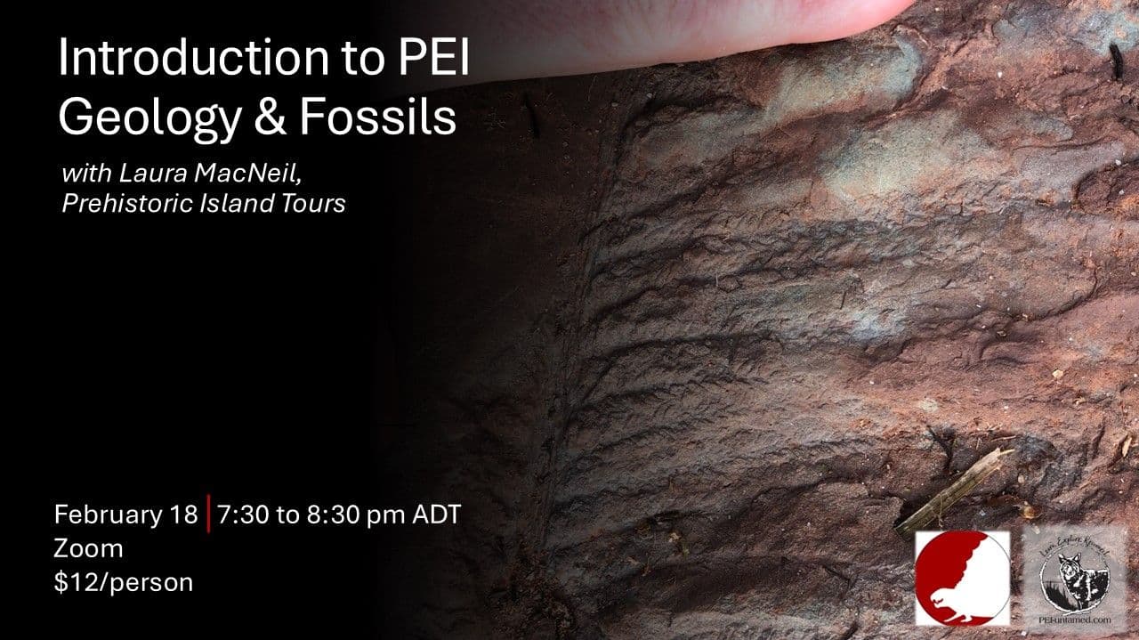 PEI Geology and Fossil Zoom Workshop