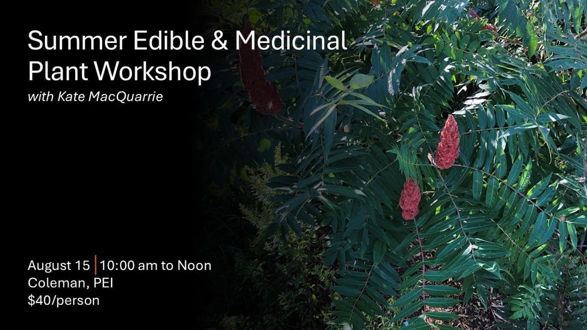 Summer Edible & Medicinal Plant Workshop