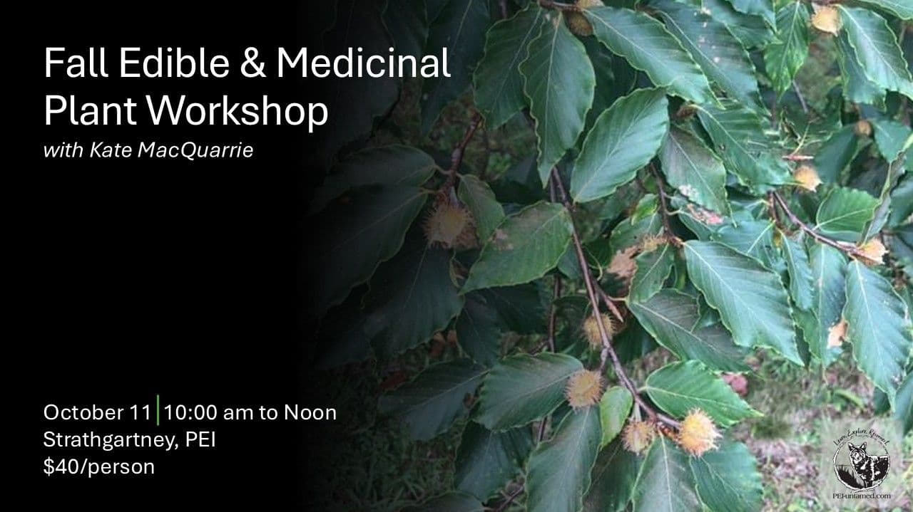 Fall Edible & Medicinal Plant Workshop