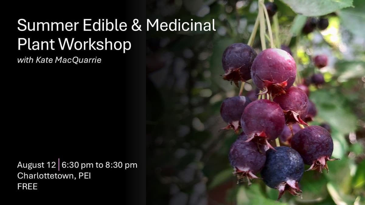 Summer Edible & Medicinal Plant Workshop