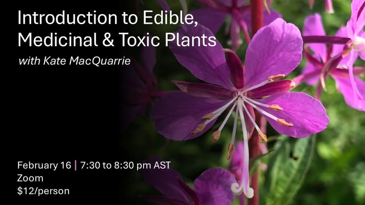 Introduction to Edible, Medicinal and Toxic Plants