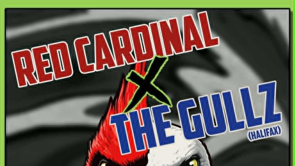 RED CARDINAL live @ WDB w/ THE GULLZ and JAM SPOTS & HOSPITALS
