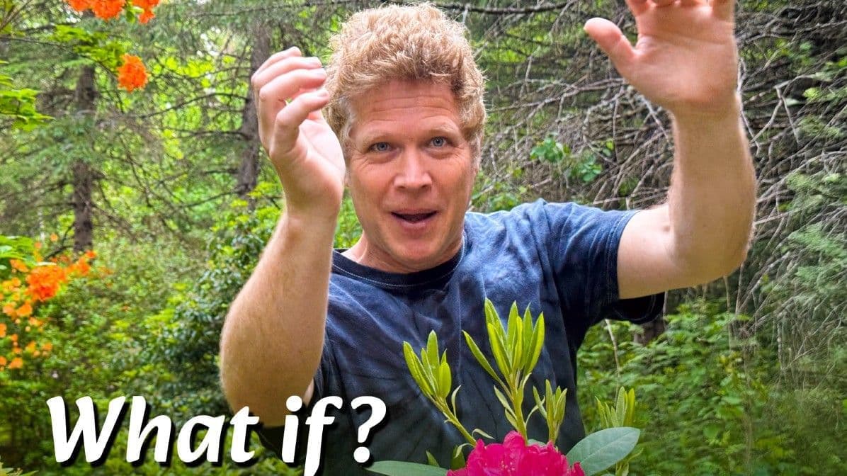 Island Jazz presents Joel Miller "What if?"