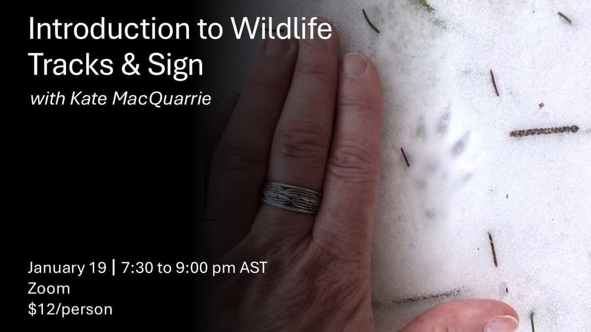 Introduction to Wildlife Tracks and Sign
