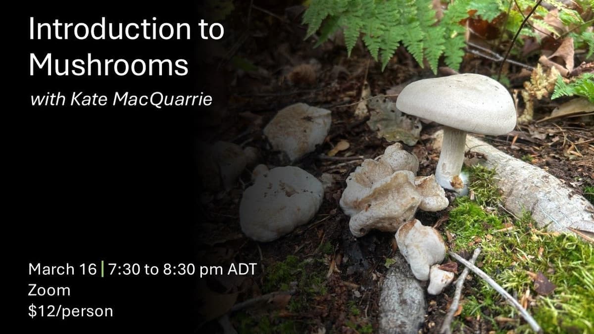 Introduction to Mushrooms
