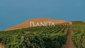 Planeta Wine Tasting